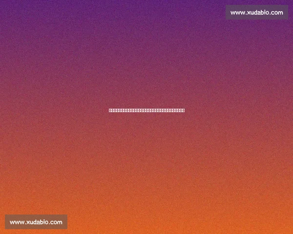 从主场分布看尤文图斯在哪个城市踢球最多的历史解析与主场文化影响