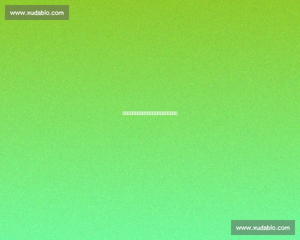 英超圣诞赛程突变：百年传统暂停背后的多重博弈